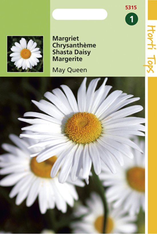 Margriet May Queen (Leucanthemum) 1100 zaden